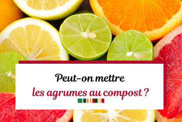 Peut-on composter les agrumes ?